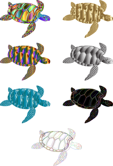 Schildpad, Dier, Decoratief, Sier