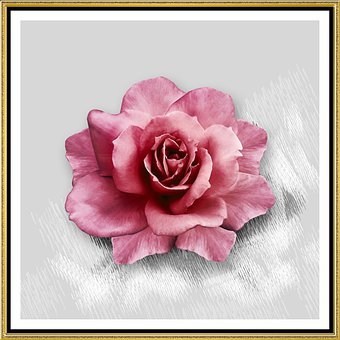 Free Art Creation illustration and picture