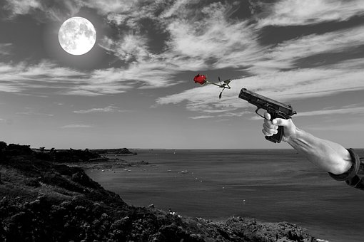 Arma De Fogo, Rosa, Amor