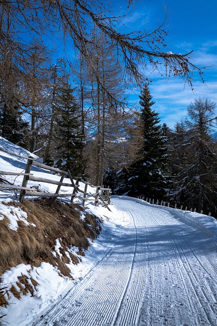 Free Route Snow photo and picture