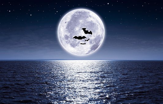 Free Moon Nature photo and picture