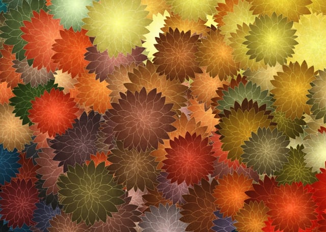 Flower, Flora, Decoration, Pattern