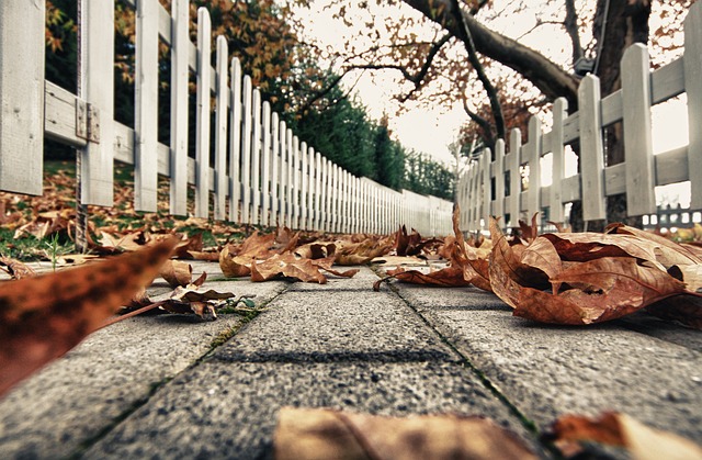 Kryoneri, Herbst, Blätter, Blatt, Bunt