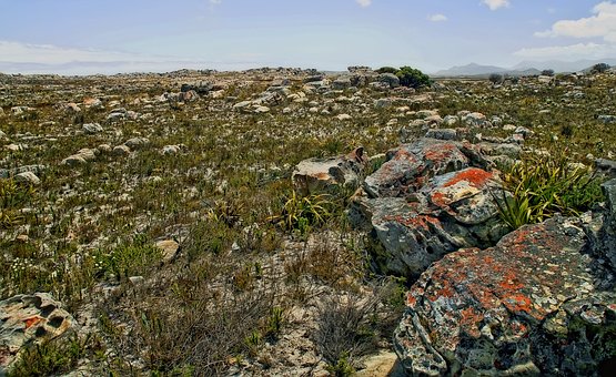 Free Landscape Nature photo and picture