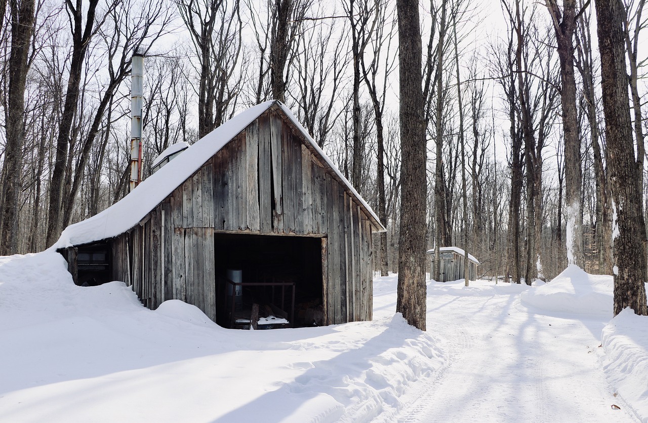 Cabane