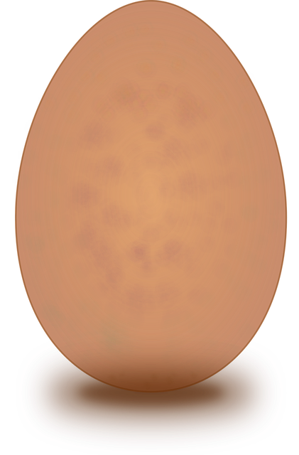 Free egg food eggs illustration