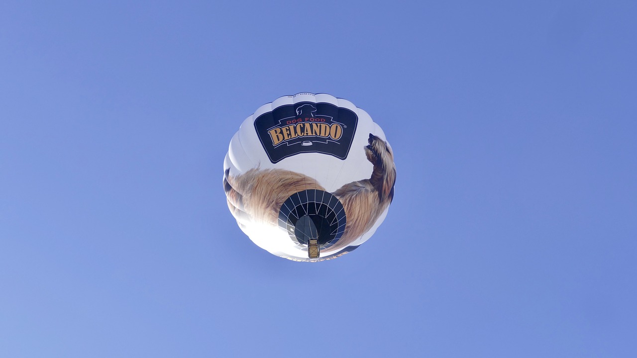 Hot Air Balloon - free online jigsaw puzzle photo