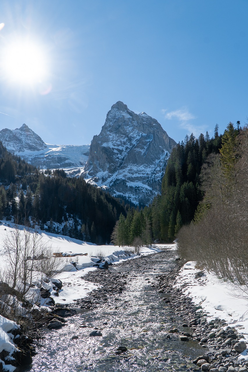 8+ Free Rosenlaui & Switzerland Images Pixabay