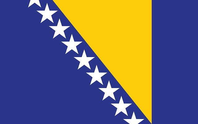 Free bosnia and herzegovina flag country vector