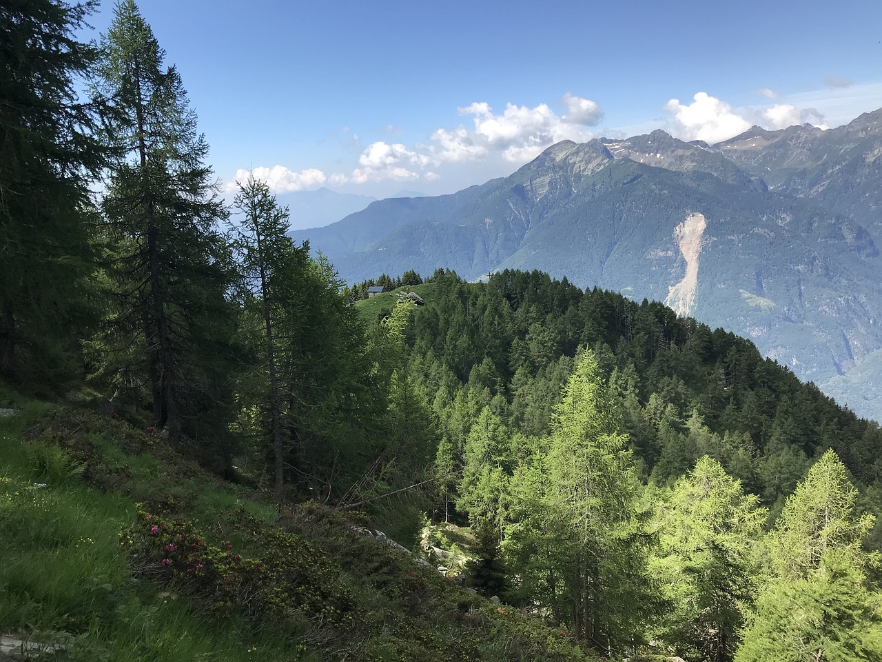 Alpe Di Motto Alpine Route Alps Free photo on Pixabay Pixabay