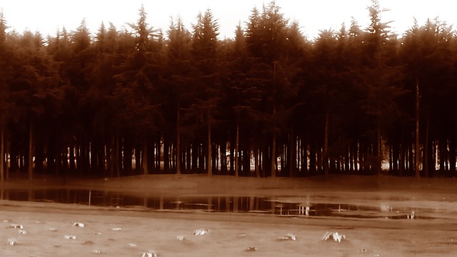Free Save Environment Environment photo and picture