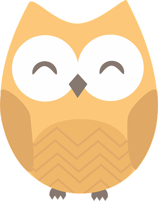 Free Owl Bird vector and picture
