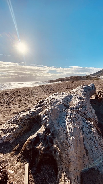 Free Beach Sand photo and picture