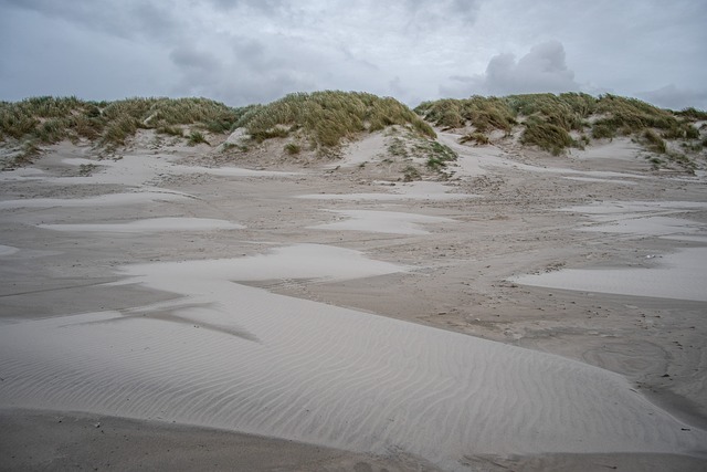 Free Dunes Sand photo and picture