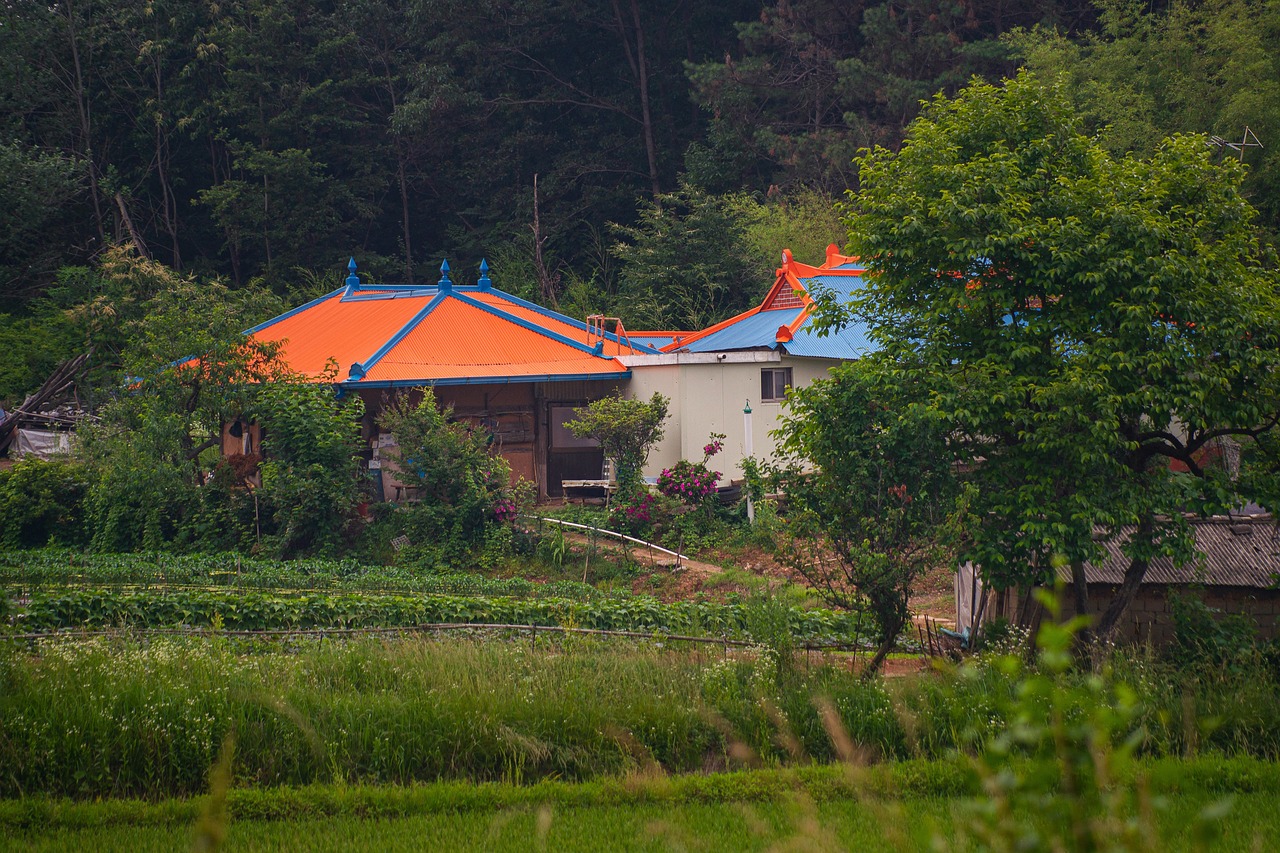 3+ Free Korean Country House & Country Images Pixabay