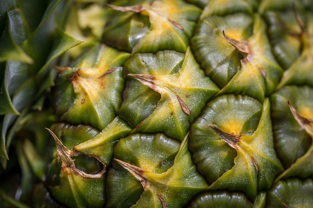 Free Pineapple Yellow photo and picture