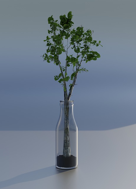 Sticlă, Sticla, Natură, Copac, Verde