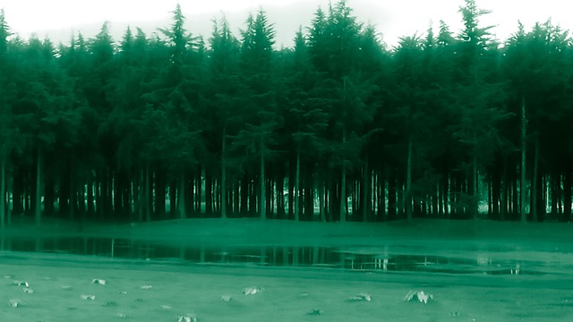 Free Save Environment Environment photo and picture