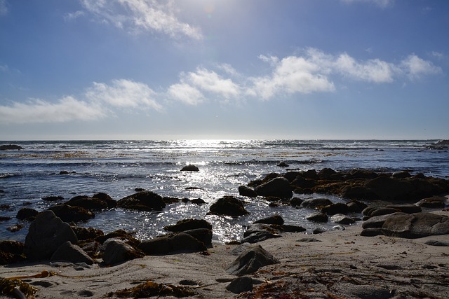 Free Bali Sea photo and picture
