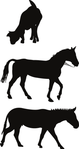 100+ Free Horse Silhouette &amp; Horse Vectors