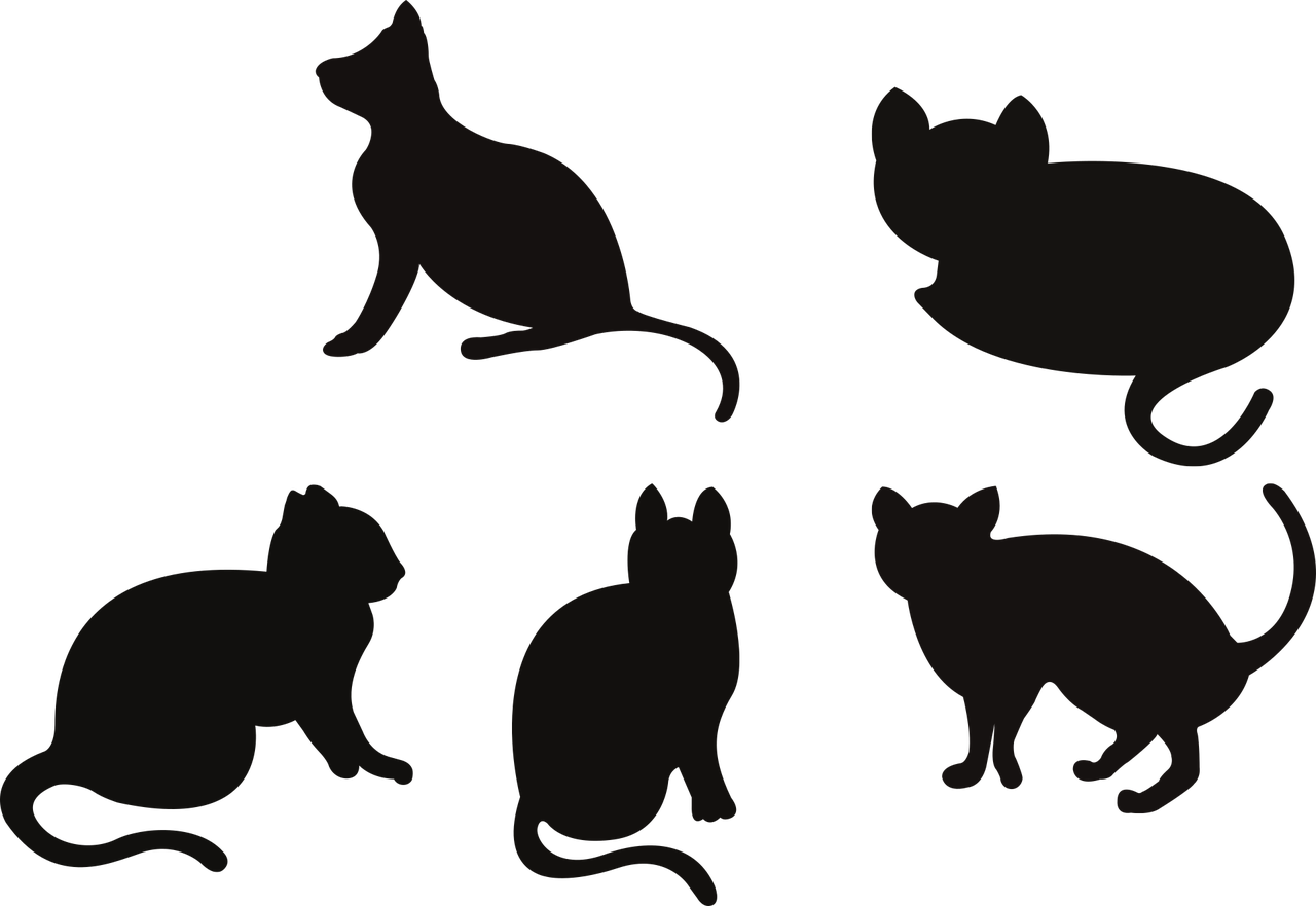 猫剪影 猫 基蒂 - 免费矢量图形Pixabay