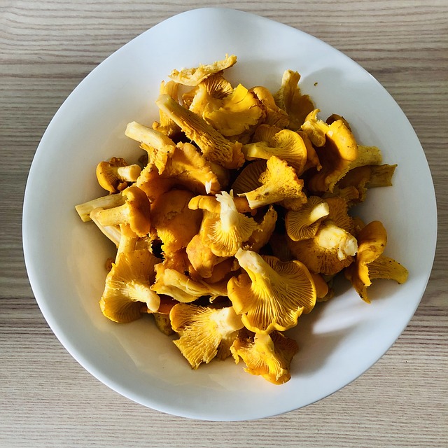 Free Egg Mushroom Mushrooms photo and picture