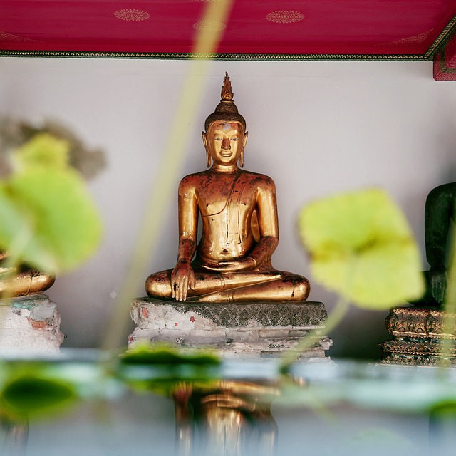 超过 10000 张关于“Naturen Thailand”和“泰国”的免费图片 - Pixabay