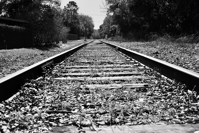 Free Train Tracks Railway Line photo and picture