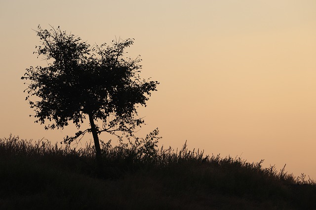 Free Exposure Shadow photo and picture