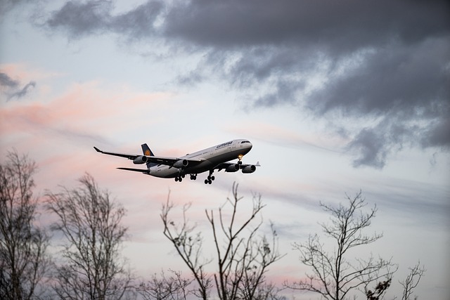 Free Aircraft Airplane photo and picture