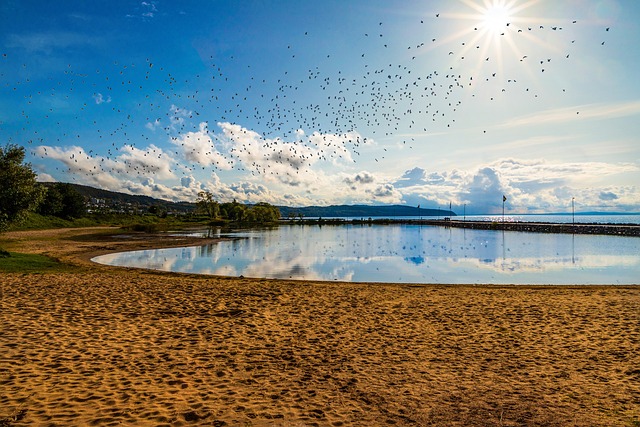 Pyala Lake Playa Lago Agua - Foto gratis en Pixabay - Pixabay