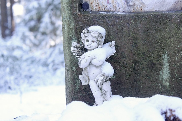 Free Angel Winter photo and picture