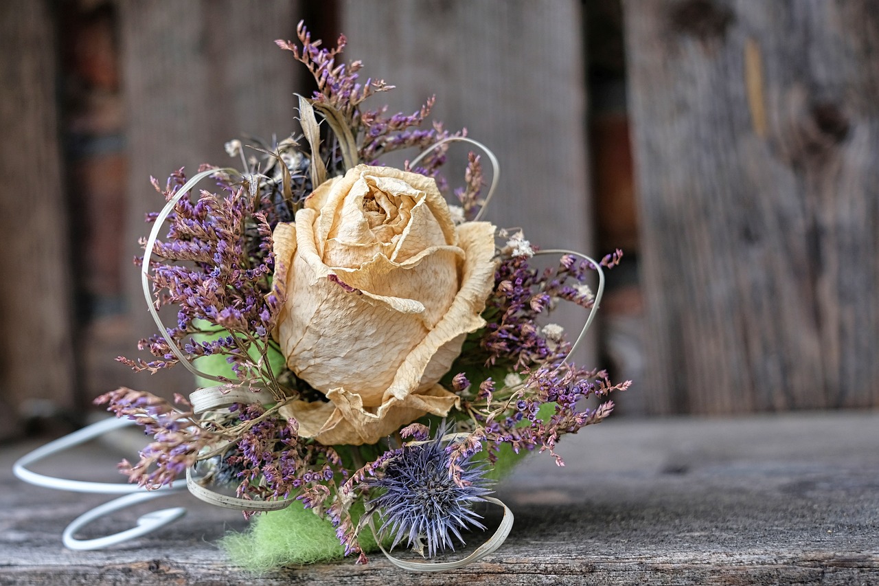 200+ Free Dry Rose & Dry Flower Images - Pixabay