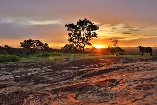 Free Sunset Landscape photo and picture