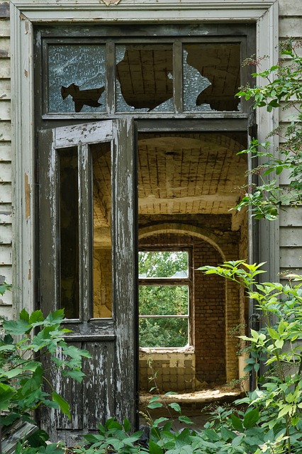 Free Germany Saxony-Anhalt photo and picture