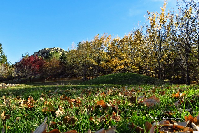 Free Autumn Garden photo and picture