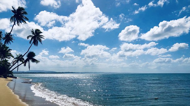 Free Caribbean Sun photo and picture
