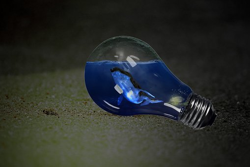 Wal, Die Glühbirne, Fantasie, Idee
