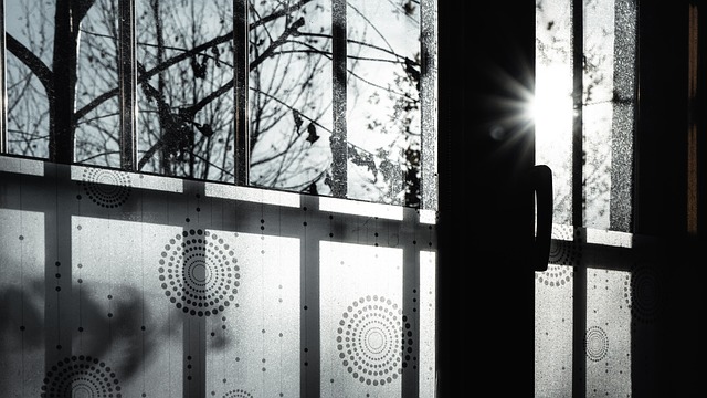 Windows, Sunshine, En Blanco Y Negro