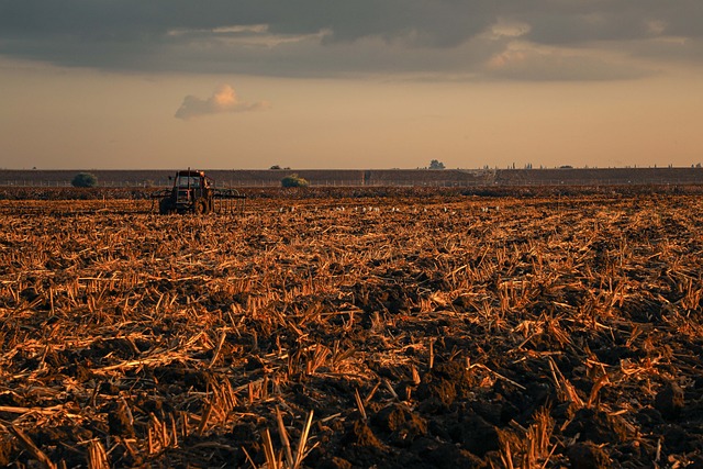 Free Farm Landscape photo and picture