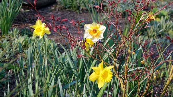 Free Easter Bells Spring photo and picture