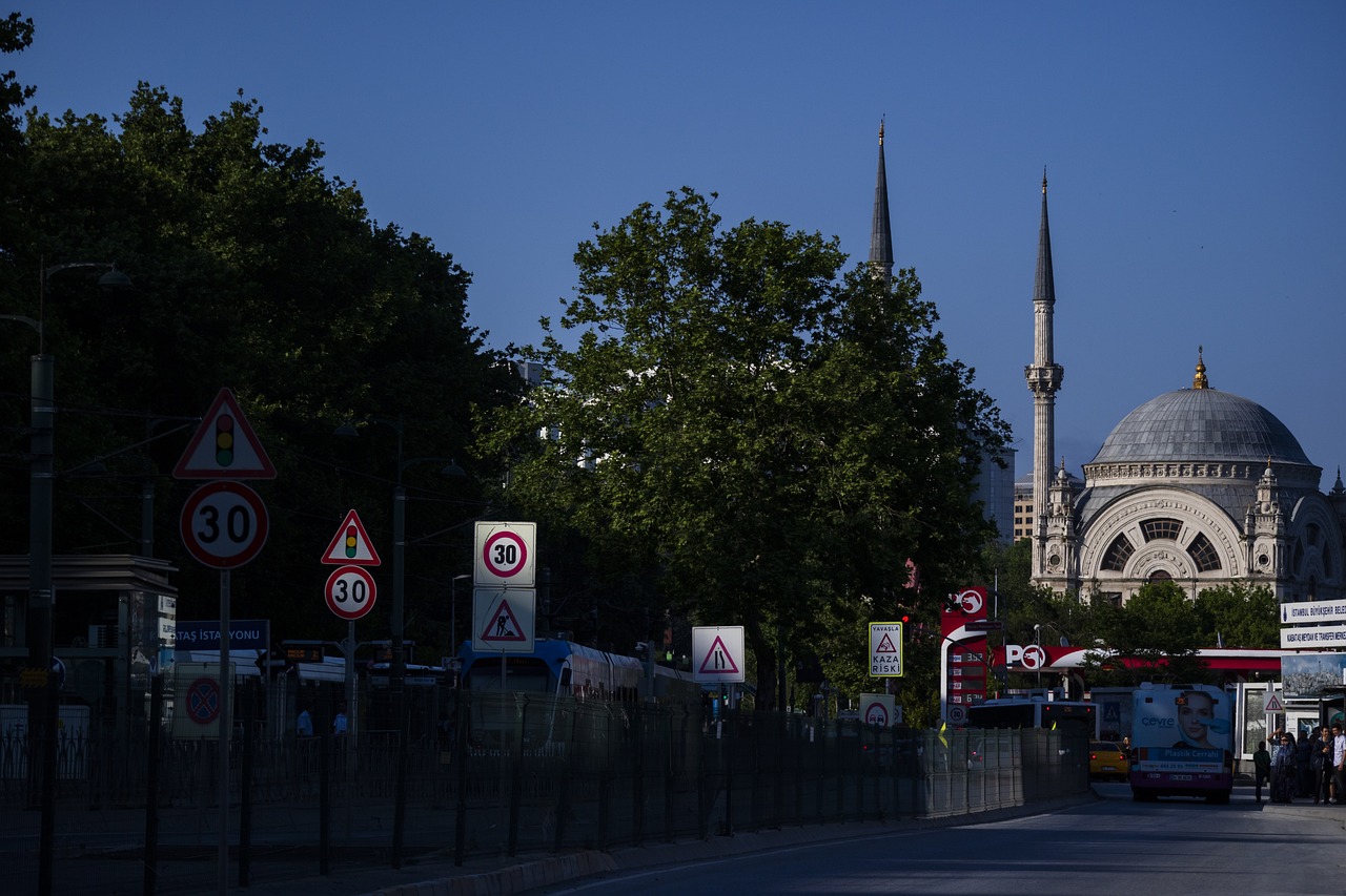 Turkey - free online jigsaw puzzle photo