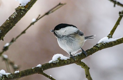 파산신청종국결과4