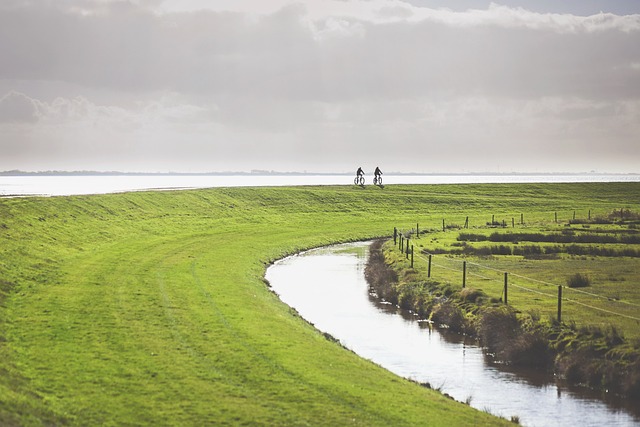 Radfahrer, Natur, Insel, Fahrrad, Sport