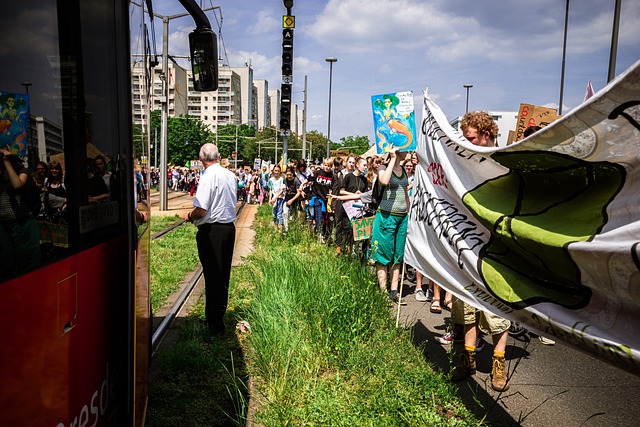 Demonstration, Fridays For Future
