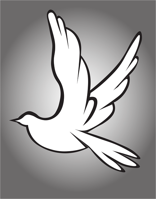 Free dove peace outline vector