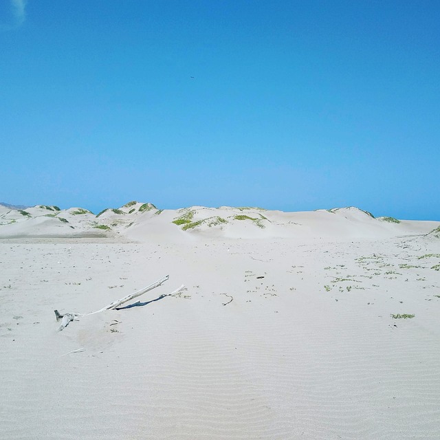 Free Dune Desert photo and picture