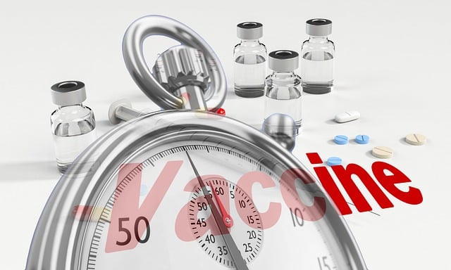 Download free HD stock image of Vaccine Stopwatch Free vaccine stopwatch injection illustration