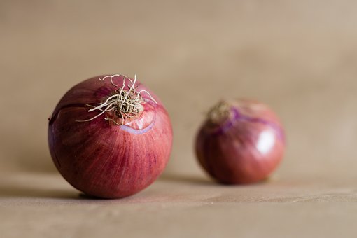 Free Onions Vegetables photo and picture