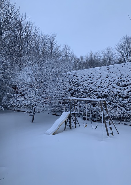 Free Winter Canada photo and picture